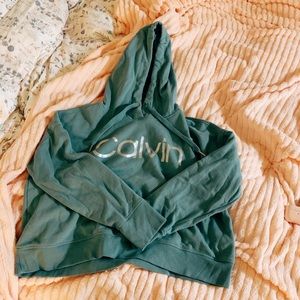 Calvin Klein Cropped Hoodie